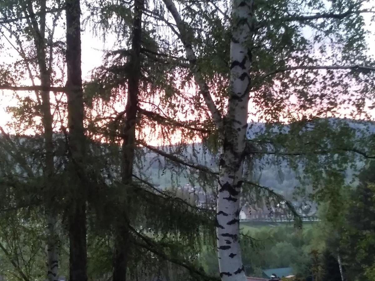 Apartmán Nowa Jutrzenka Stryszawa Exteriér fotografie