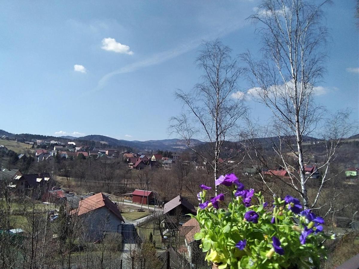 Apartmán Nowa Jutrzenka Stryszawa Exteriér fotografie
