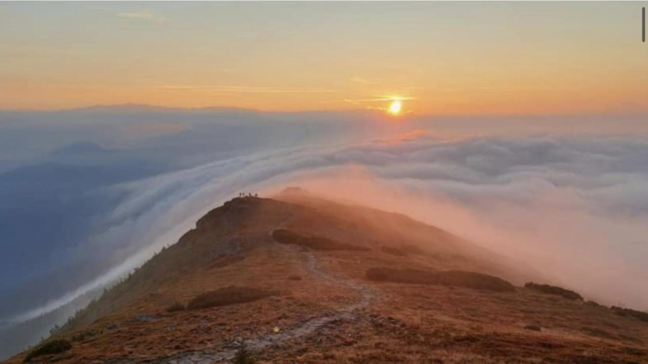 Apartmán Nowa Jutrzenka Stryszawa Exteriér fotografie